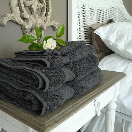 Het Winterkoninkje Zuid-Scharwoude